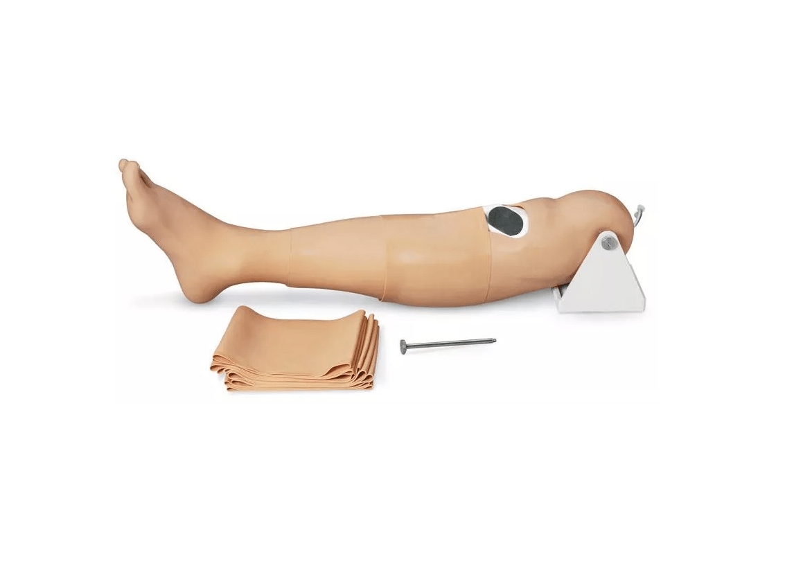 Intraossäres Trainingsbein Erwachsener - Erler - Zimmer